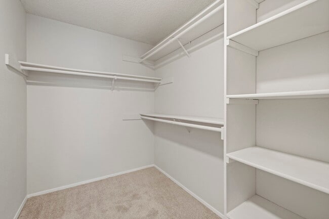 LARGE WALK IN CLOSET