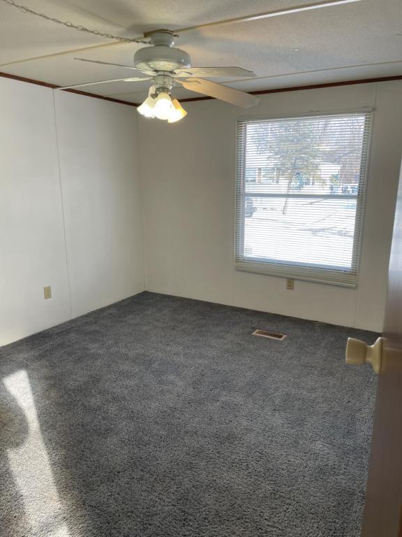 Photo - 24054-2M-43 M-43