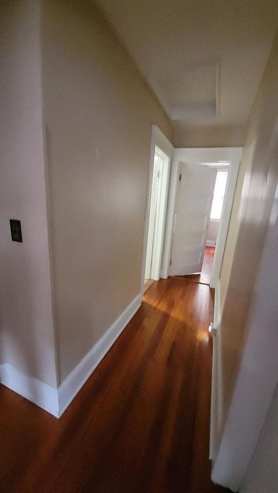 Photo - 99 Cleveland St