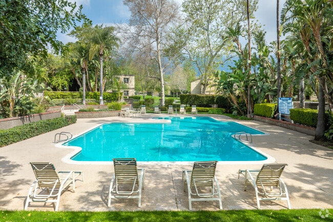 Piscina y spa - Sunrise Apartments