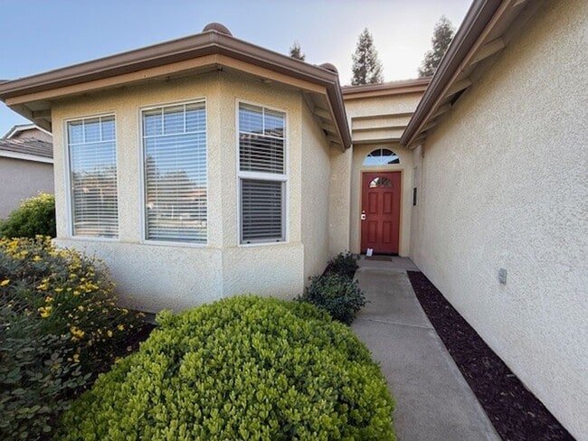 Photo - Coming Soon!