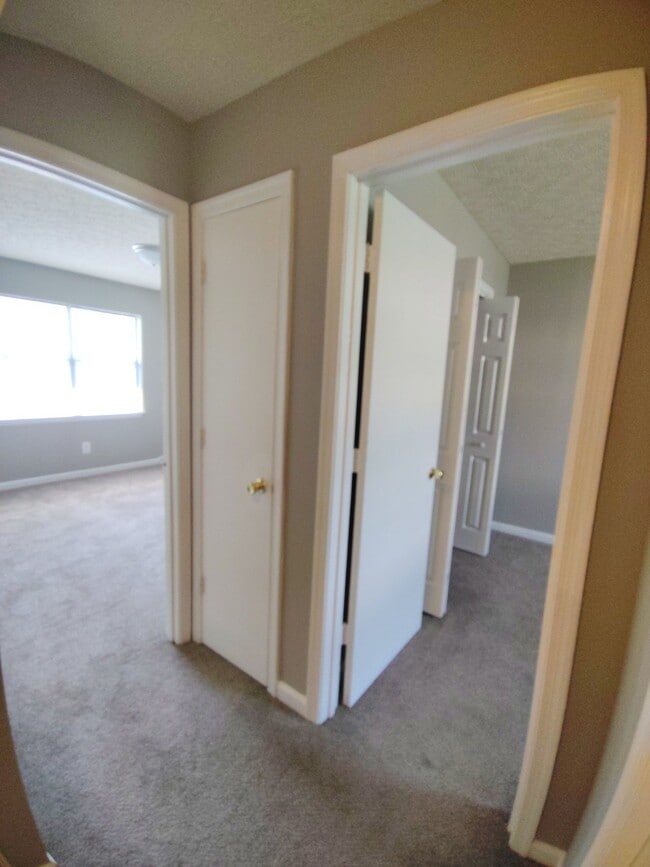 61 Ferguson Dr