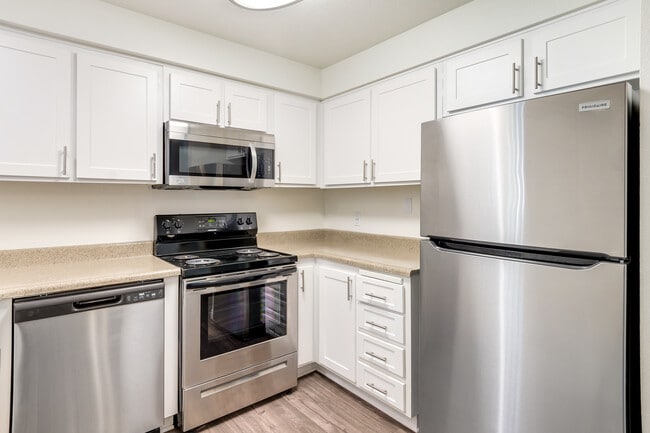 Stainless Steel appliances