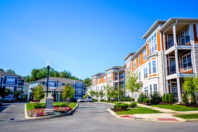 City Flats at Renwick - City Flats Renwick Rental