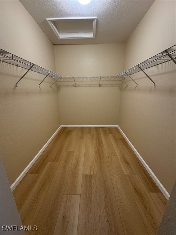 Building Photo - 7009 Romana Way