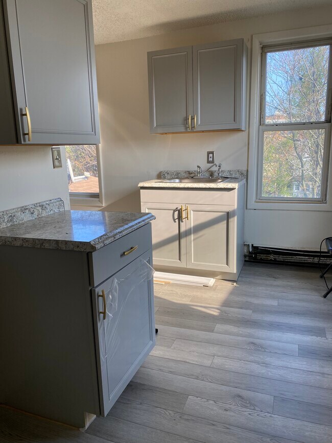 Renovated Kitchen - 217 Hamilton Ave Townhome