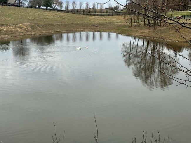 Photo - Twin Lakes Apartments