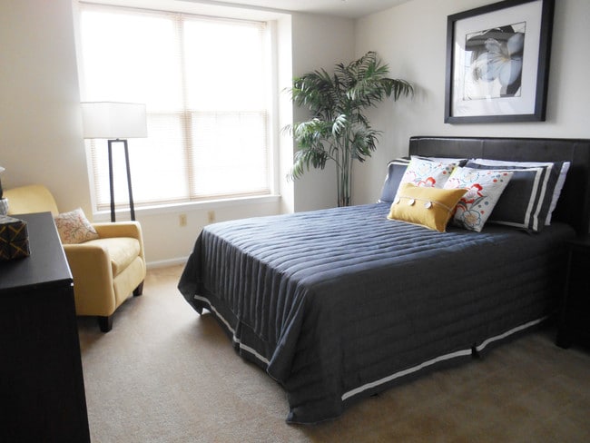 Spacious Bedroom - Amberley at Blue Bell