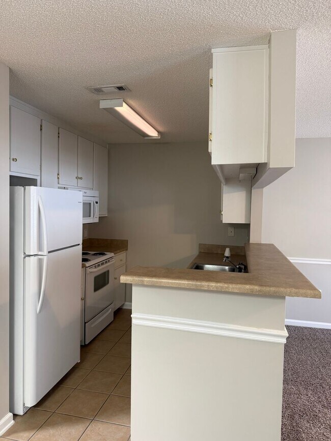 Photo - 160 N Spring View Dr