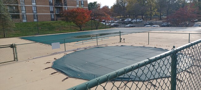 Photo - 2311 Pimmit Dr Unit 812E