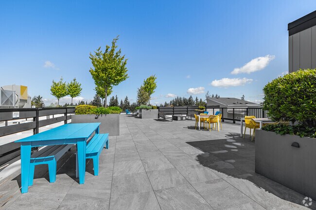 Roof Terrace