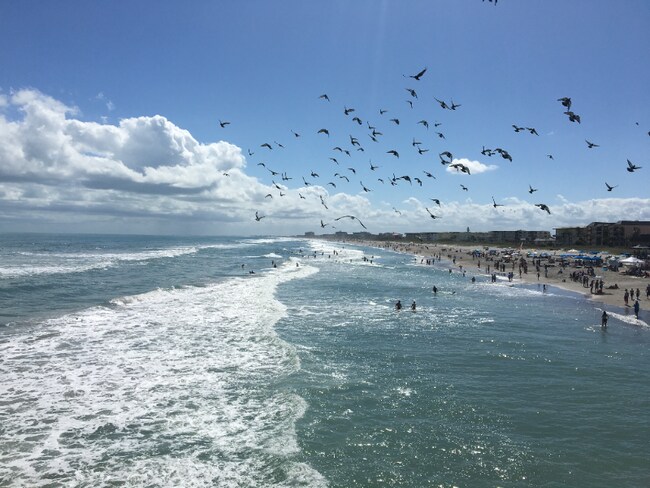 Photo - 2020 N Atlantic Ave Unit 601