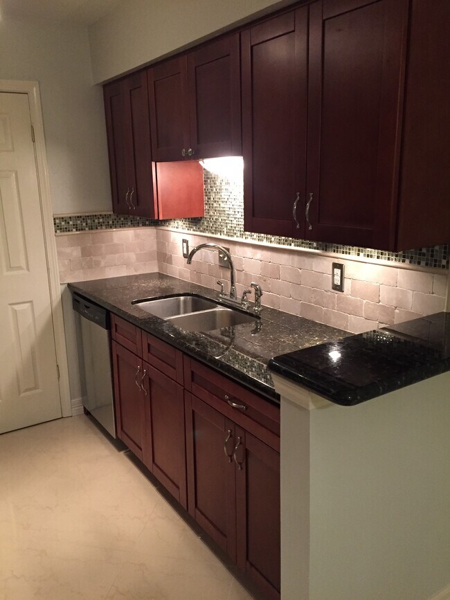 Stainless steel dishwasher and sink; under-cabinet lighting - 7555 Katy Freeway Unit 158