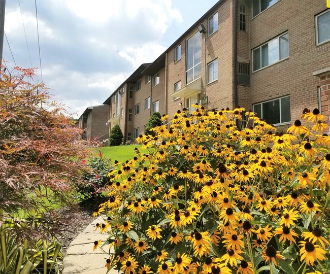 Photo - Heatherwood Apartments