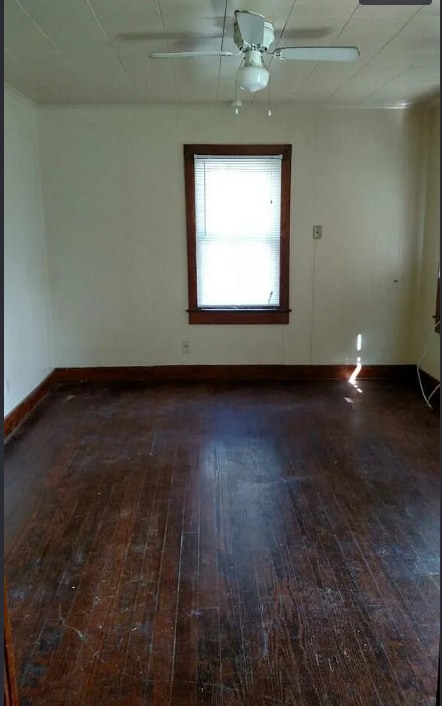 Photo - 307 Tissington St