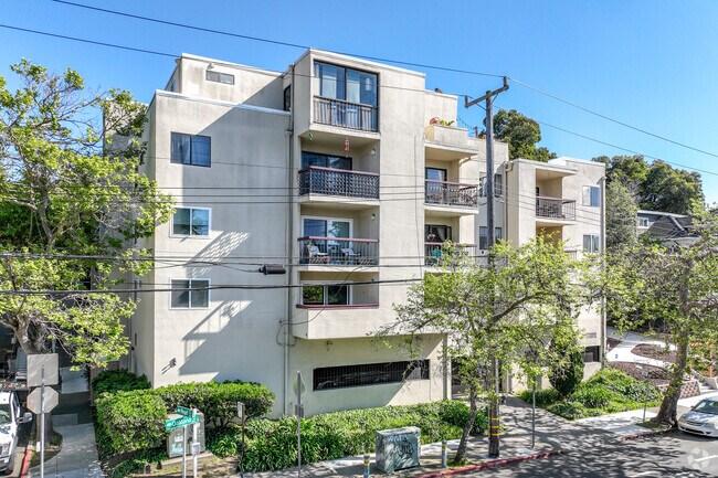 Primario - Wayne Allen