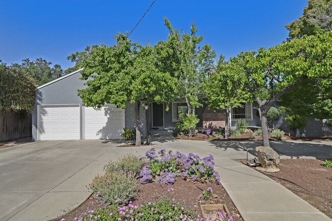 Building Photo - Los Altos 4-Bedroom with Fireplace, EV Hoo...