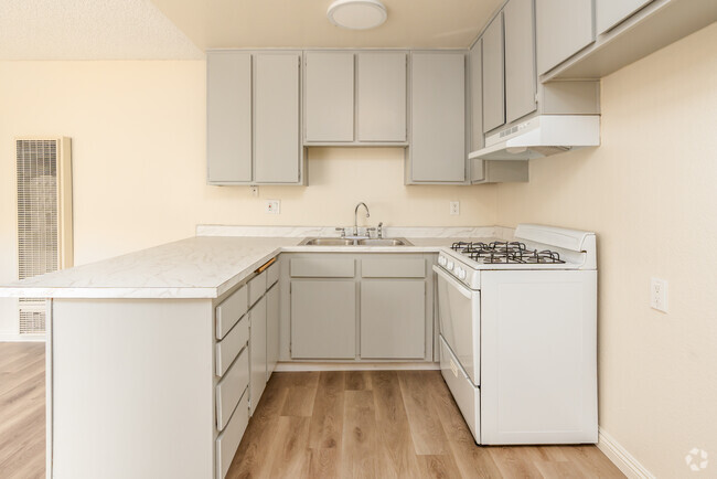 1BR, 1BA - 527SF - Kitchen - 700 S Lake St Apartments