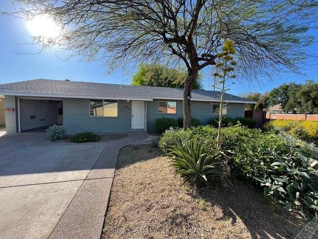 Building Photo - 3810 S La Corta Dr Rental