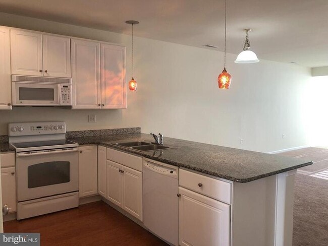 Photo - 17432 Slipper Shell Way Unit #3202  11