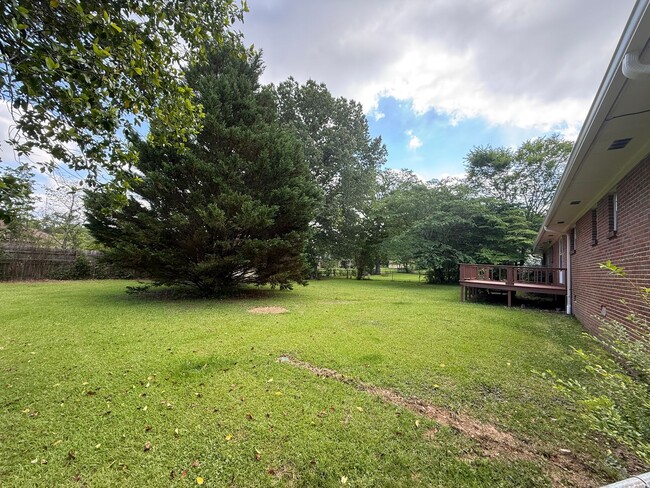 Photo - Rainbow City Rental