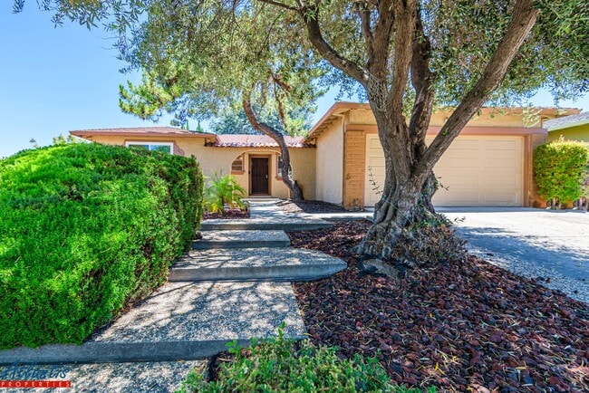 Lovely Blossom Valley Home - Lovely Blossom Valley Home