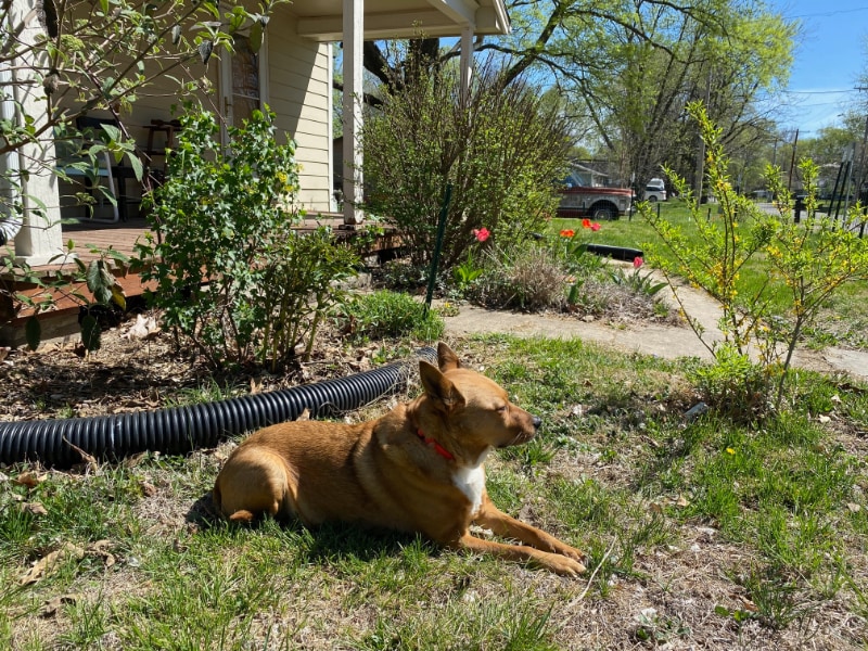 Photo - 246 N 8th St