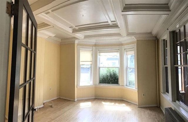 43 Nelson St