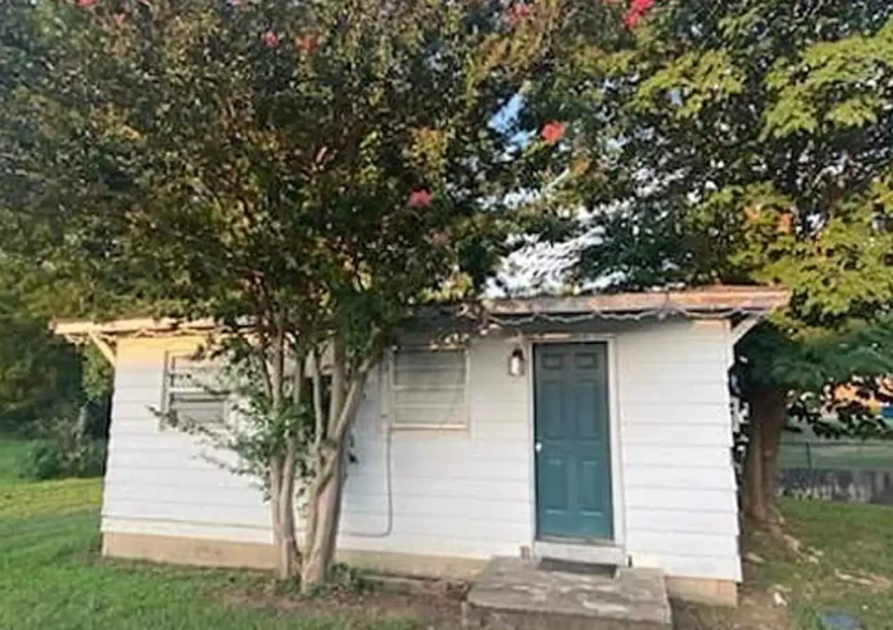 Cozy 1 Bedroom, 1 Bath Home in Jacksonville, AL - Cozy 1 Bedroom, 1 Bath Home in Jacksonville, AL