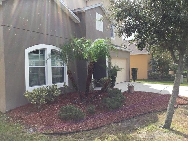 Photo - Spring Lake Village-3058 Dasha Palm Drive ...