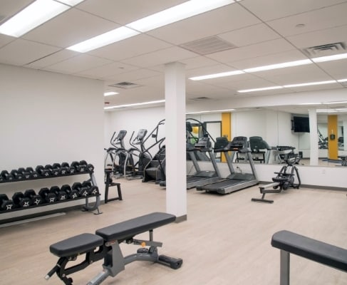 Gimnasio - Luna on Pine