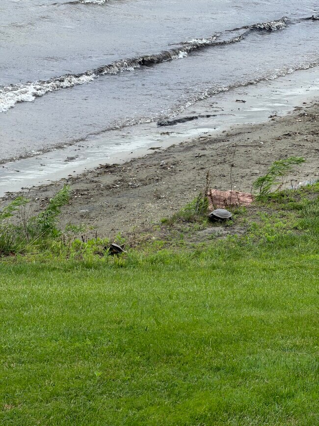 Building Photo - 1450 Marble Island Rd