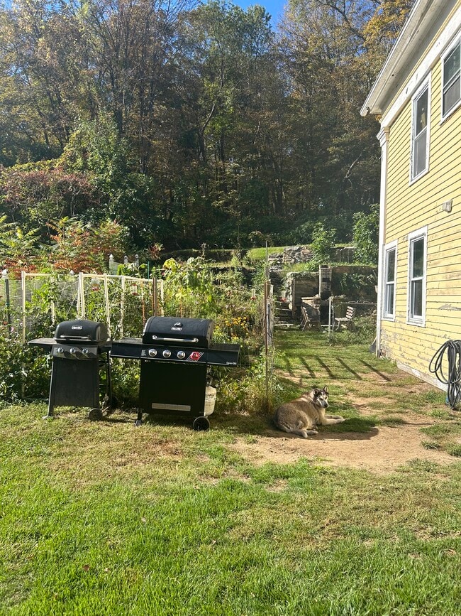 Community Garden and Grills - 30 Wall St Unit 30 Wall Stret Floor 2B