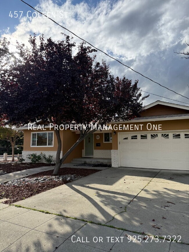 Photo - 457 Coleen St Casa