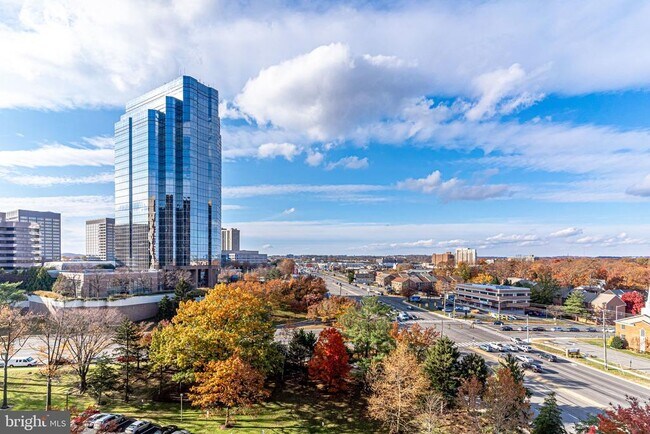 Photo - 3701 S George Mason Dr Unit 1108N