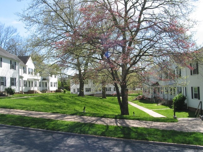 Foto principal - 2BD/1BA - Walking Distance to Downtown and W&L!