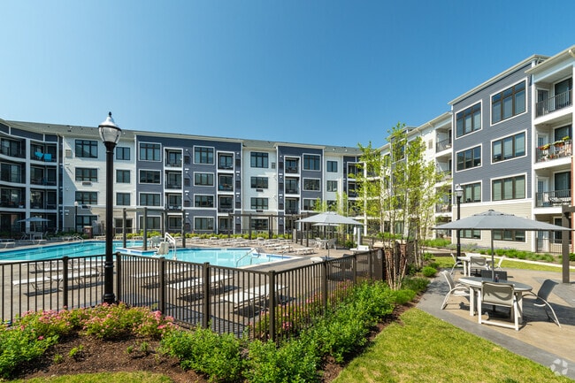 Pool & Sun Terrace