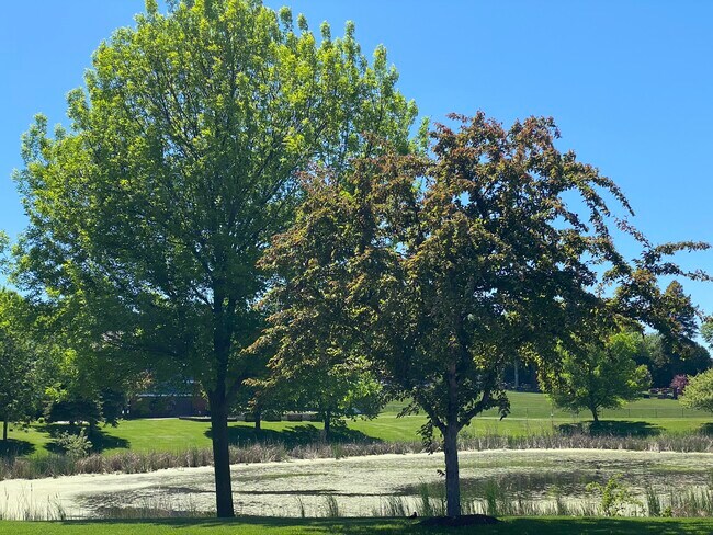 Photo - Countryside Townhomes