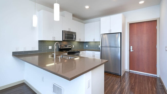 Kitchen with Stainless Steel Appliances - Odin