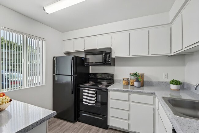 Photo - Sahara and Playa Palms