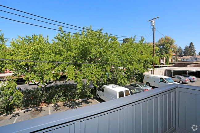 Photo - Adelaide Pines