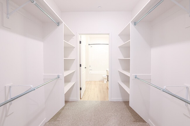 The Providence Primary Closet