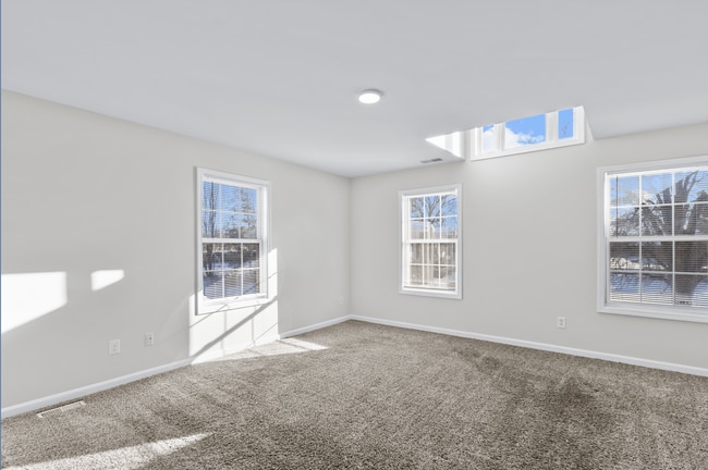 Photo - Nichols Meadows