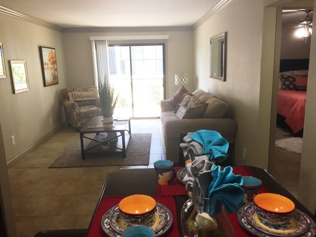 Photo - Spanish Willows