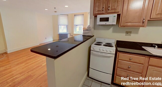 379 Commonwealth Ave Unit 1