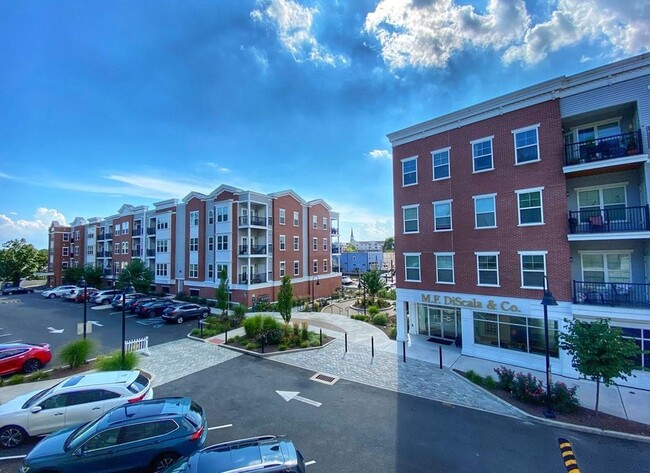 Photo - Head of the Harbor South