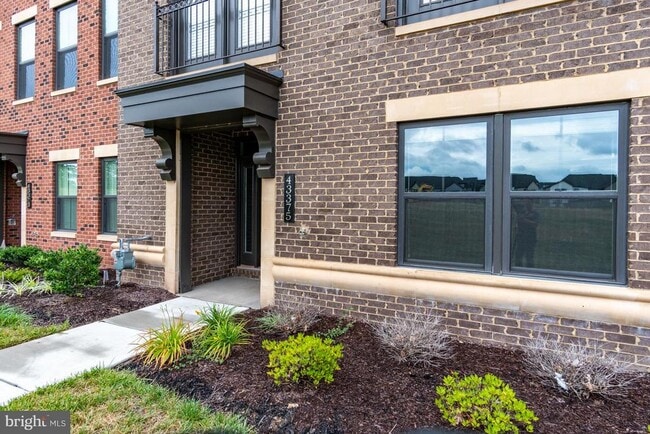 43375 Whitehead Ter