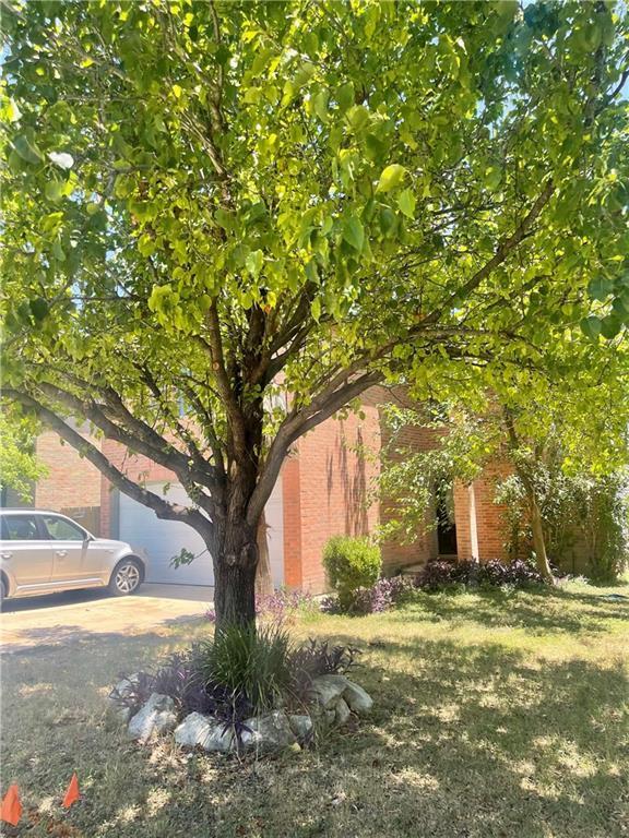 Photo - 12915 Heyerdahl Dr
