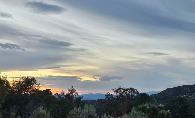 View from living room