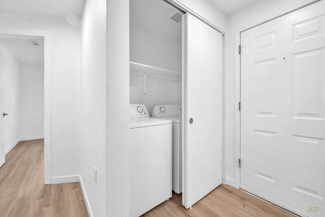 Photo - Bluebird Keizer